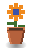 Bird of Paradise