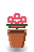 Camellia