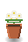 Daisy Clump
