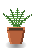 Fern Frond