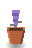 Lavender Sprig