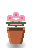 Peony