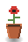 Poppy