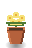 Primrose