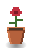 Red Rose