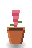 Snapdragon