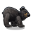 Black Bear